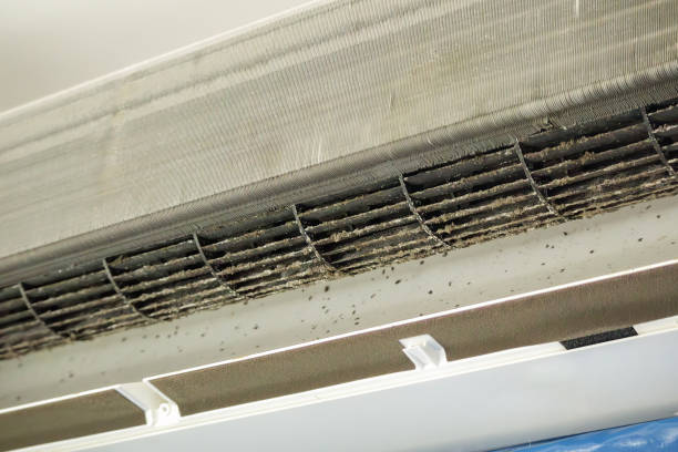 Best Emergency Air Duct Cleaning  in Osceola, IN