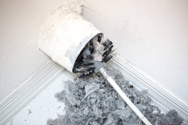 Best Ventilation Cleaning Services  in Osceola, IN
