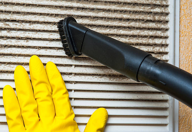Best Professional Duct Cleaning Services  in Osceola, IN